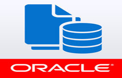 Oracle数据库管理工具有哪些?-北京冠亚线上平台,冠亚（中国）公司