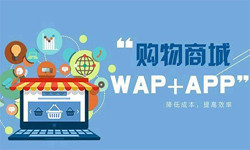 手机商城app冠亚线上平台,冠亚（中国）流程-北京冠亚线上平台,冠亚（中国）外包公司