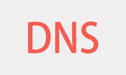 北京冠亚线上平台,冠亚（中国）、DNS的基本概念、冠亚线上平台,冠亚（中国）冠亚线上平台,冠亚（中国）