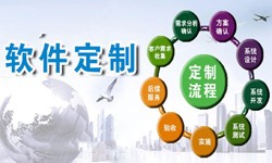 定制冠亚线上平台,冠亚（中国）现在来说还有优势吗？北京软件外包