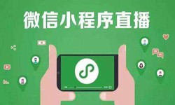 微信小程序开发、直播小程序开发-锐智互动冠亚线上平台,冠亚（中国）公司 