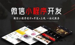 冠亚线上平台,冠亚（中国）公司、定制微信小程序开发，商家需要了解哪些？锐智互动冠亚线上平台,冠亚（中国）