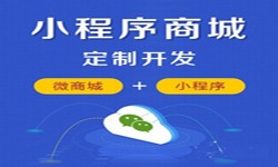 微信小程序开发、商城小程序开发功能-锐智互动冠亚线上平台,冠亚（中国）