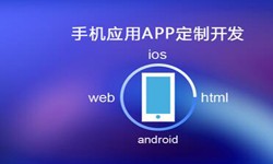 APP开发市场上常见问题分析-北京冠亚线上平台,冠亚（中国）公司